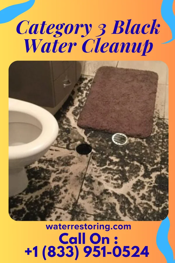 Category 3 Black Water Cleanup in Jefferson Valley-Yorktown, NY