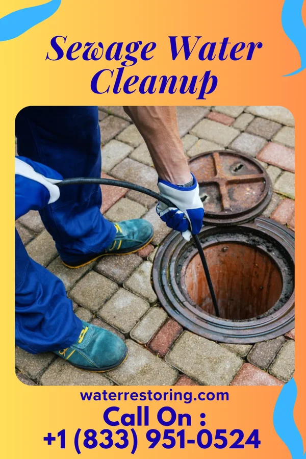 Sewage Water Cleanup in Jefferson Valley-Yorktown, NY